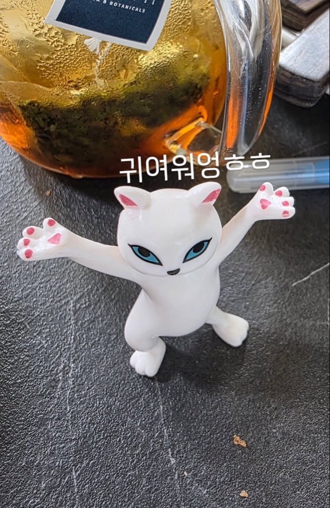 nayasroom_'s tweet photo. why is he literally the silly cat he gifted to changbin? https://t.co/xd4TkZxmTe