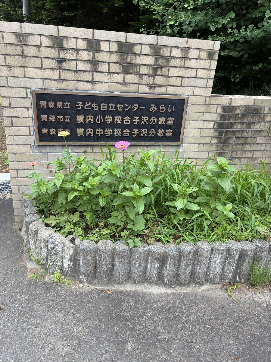 aodai_bbs's tweet photo. 今日は今年度初の学ボラに参加してきました。子ども自立センターみらいへの訪問は、先月のスポーツ交流会に続いて二回目です。
弘前大学Teen's &amp; Lowは皆さんと一緒に中学生の男の子達の学習支援でした。
来月は夏休みのスポーツ交流会の予定です🏸 https://t.co/n0ky0IrY5e