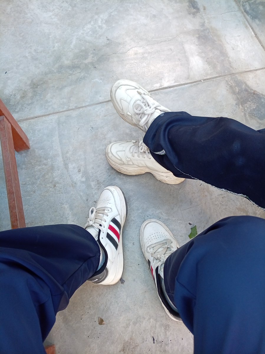 tofu0cal's tweet photo. bruno fuera de twt https://t.co/DbVLfaCpV9