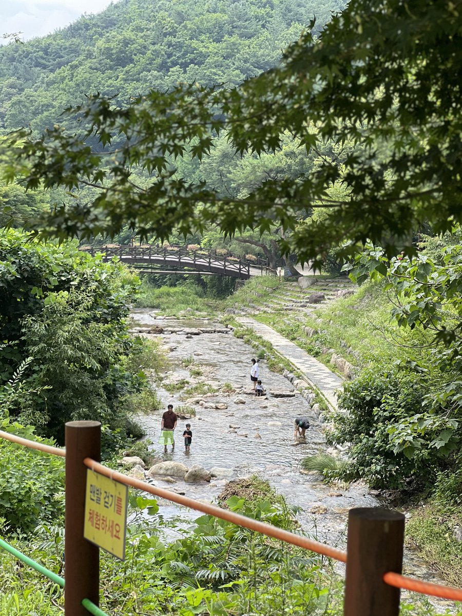 dzl7d's tweet photo. 여름방학 같았다 🌳🌞 https://t.co/S9dXJbmDLE