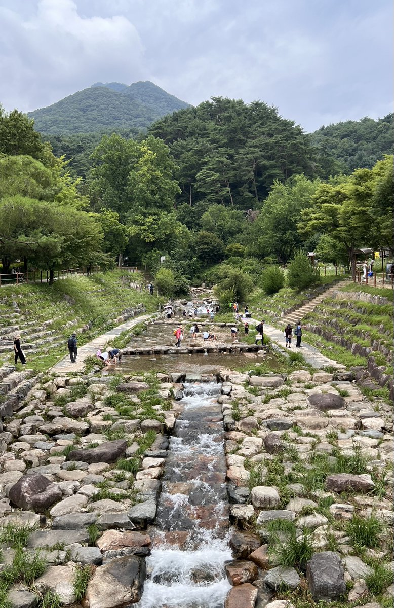 dzl7d's tweet photo. 여름방학 같았다 🌳🌞 https://t.co/S9dXJbmDLE