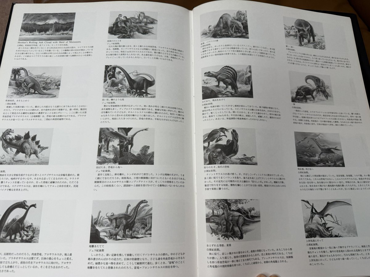 Paleoparadoxian's tweet photo. 書籍「イラストに見る恐竜の驚異と神秘」より

マジで凄い
長かった…
これを知ったきっかけになっただけでも木の葉化石園には感謝しかない

当時思い出の図鑑を持っていればそれで良かったけど、今更買い直すというのもなと思っていた

何より全てのイラストにはタイトルがあったというのも初めて知る https://t.co/ixsm1A5G3Q
