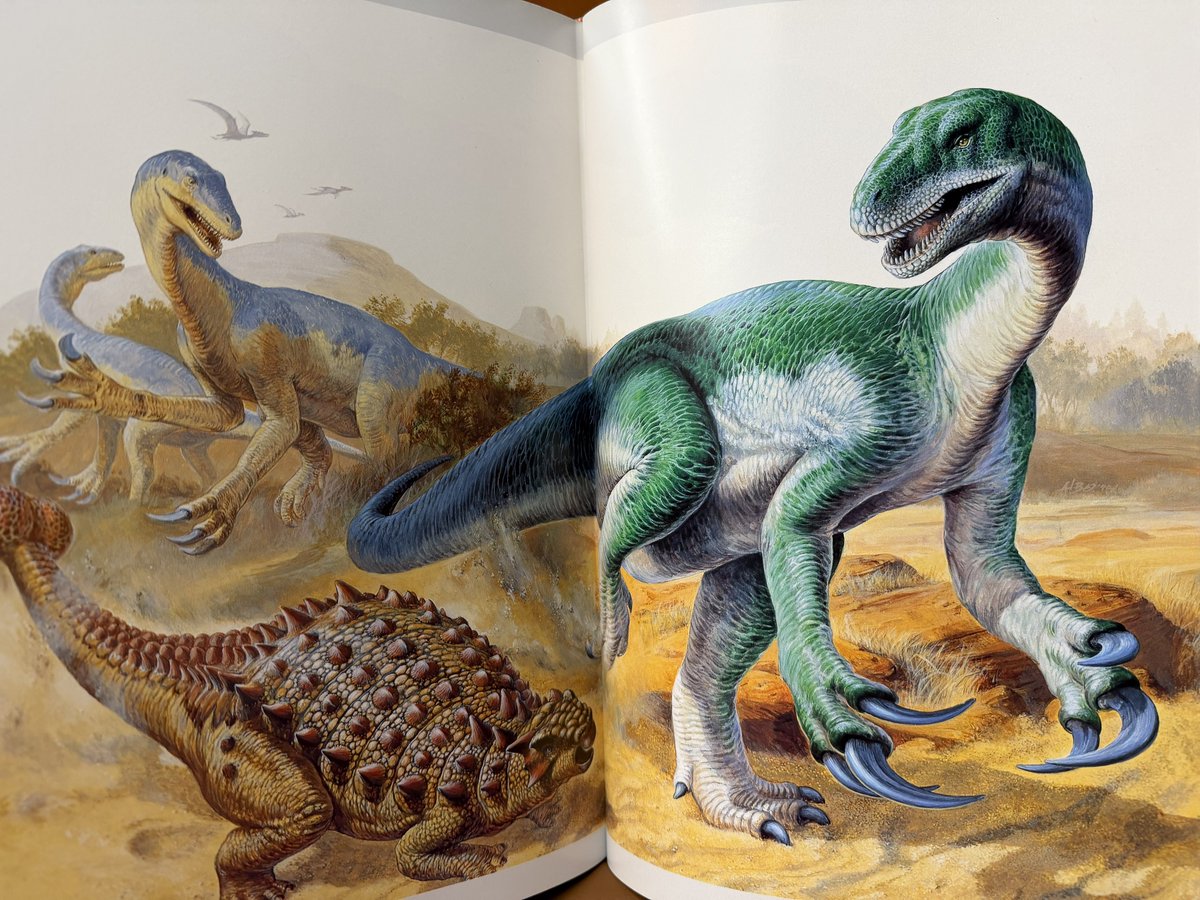 Paleoparadoxian's tweet photo. 書籍「イラストに見る恐竜の驚異と神秘」より

マジで凄い
長かった…
これを知ったきっかけになっただけでも木の葉化石園には感謝しかない

当時思い出の図鑑を持っていればそれで良かったけど、今更買い直すというのもなと思っていた

何より全てのイラストにはタイトルがあったというのも初めて知る https://t.co/ixsm1A5G3Q