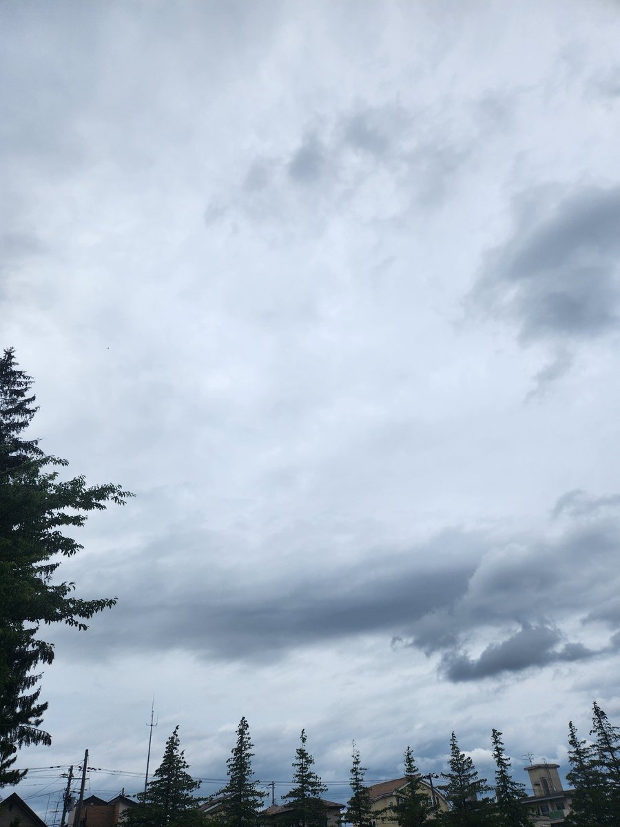 okapurico's tweet photo. 蒸し暑い八戸🥵けれど、もうすぐ湊町の蔵に爽やかな風が吹くことでしょう🎶 親愛なる友人達よ、私の魂頼んだよ‼️( &amp; グッズ代行も🤭)
#SWALLOW
#つばめや https://t.co/kqsyYfomdE
