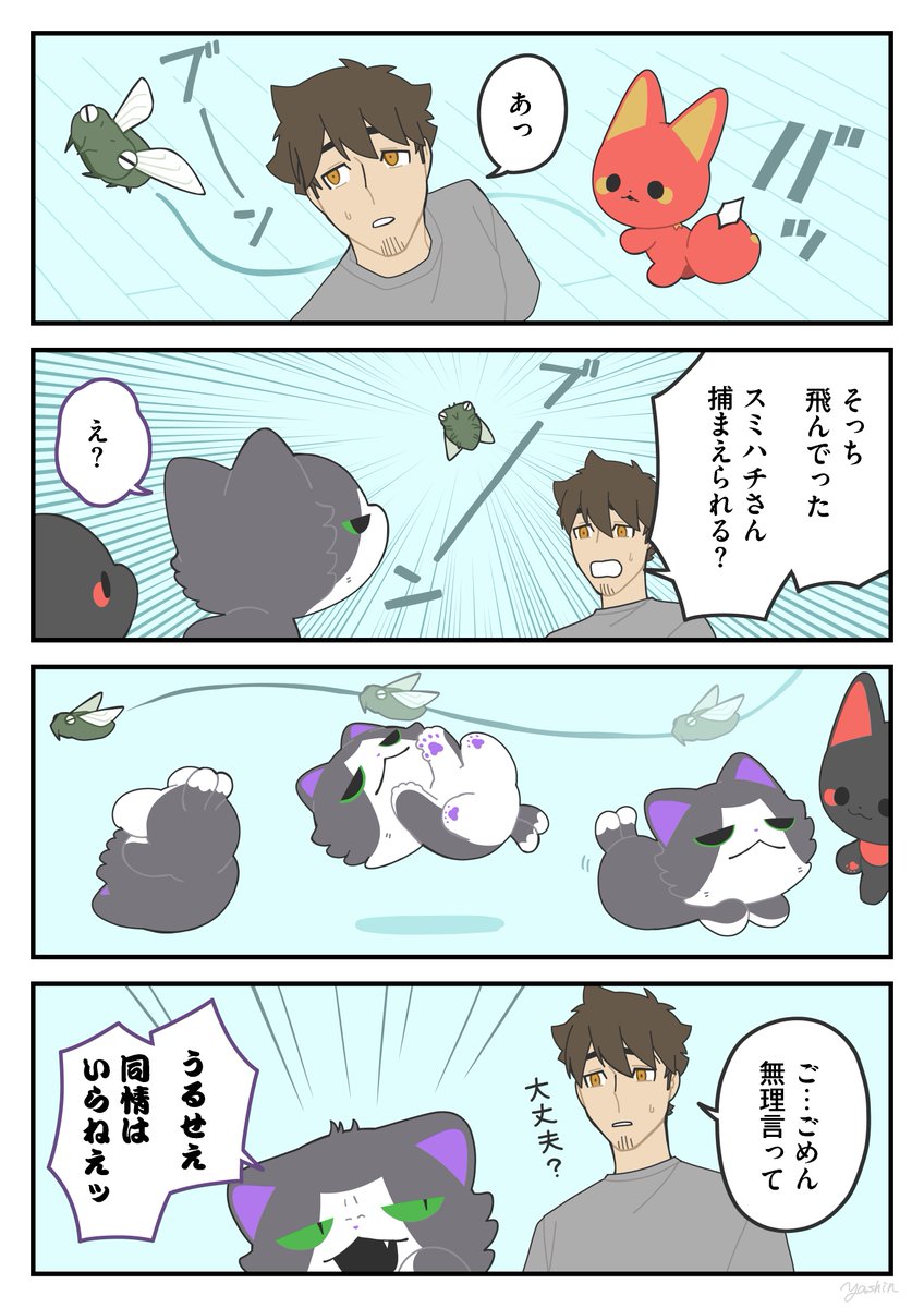 ⭐あらじん様　ご確認用⭐