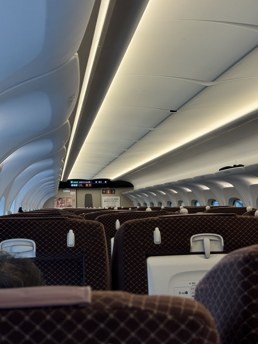 俺だけのボブ tweet media