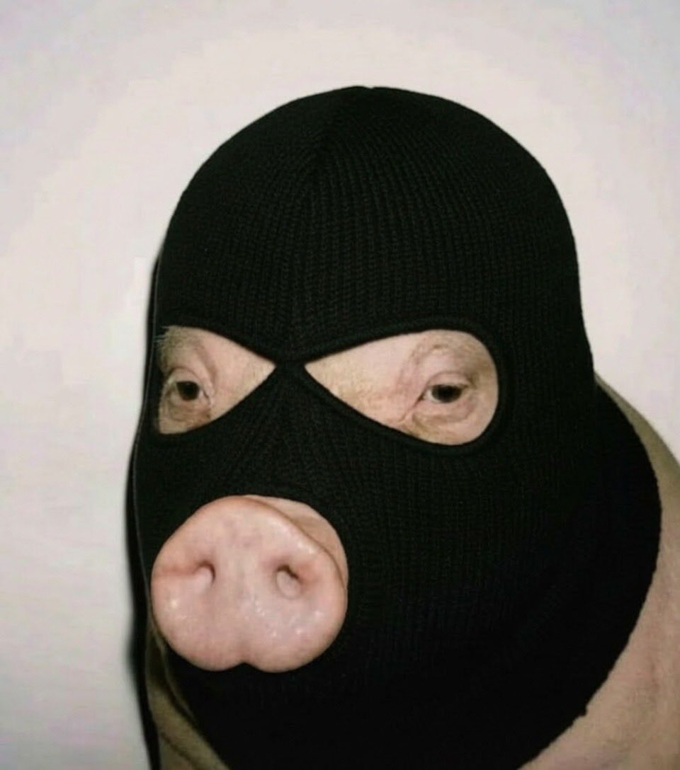 HowlingWiggerPig ๐บ๐ธ tweet media