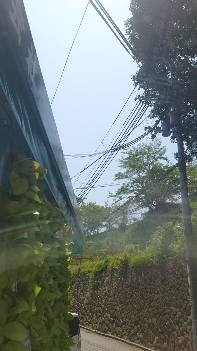 iketake00's tweet photo. こんにちは( ´ ▽ ` )ﾉ
清荒神今日は晴れ時々薄曇り

直射日光は痛いくらい暑いです

３連休なんですね
中には夏休みに入ったご家庭もあるでしょうか

暑すぎるので入口ではミスト、店内節電営業しております

巳の日本日もみなさまのご来店ぜひお待ちしております🙇‍♂️ https://t.co/Sz6QUWSvaF