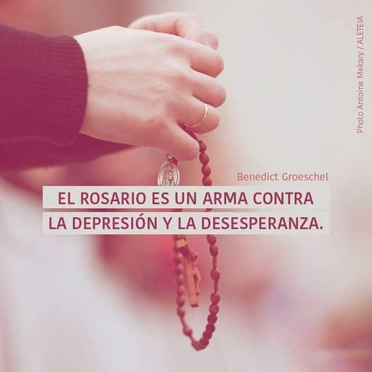 liderSanAlfonso's tweet photo. https://t.co/rMmuijnGSy