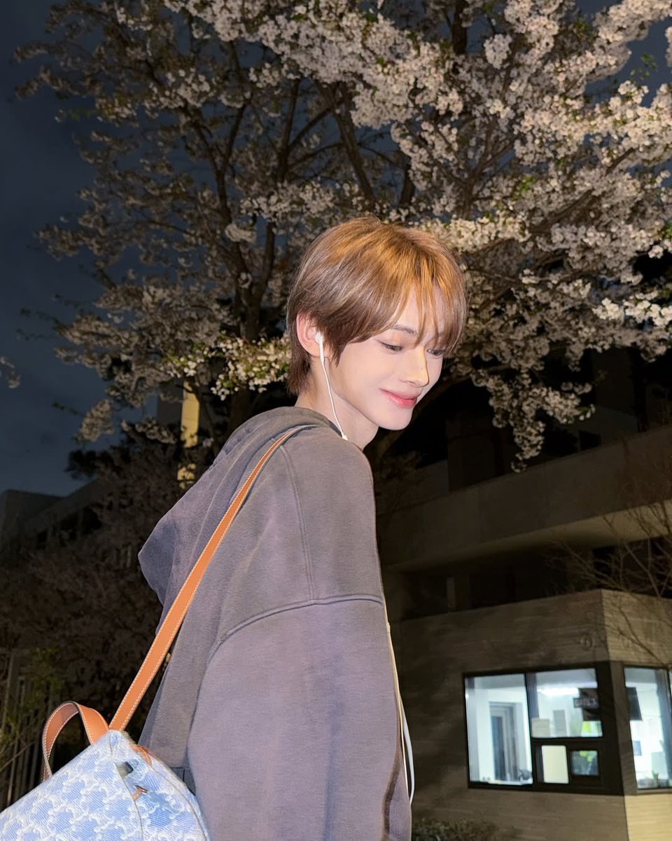 lovelithanjin's tweet photo. GUMOOOOONYING, kalian kalau jalan jalan malem biasanya kemana, gucy? :3 kalau aku liat bunga sakura <3 __ <3 https://t.co/9ybVUouc1v