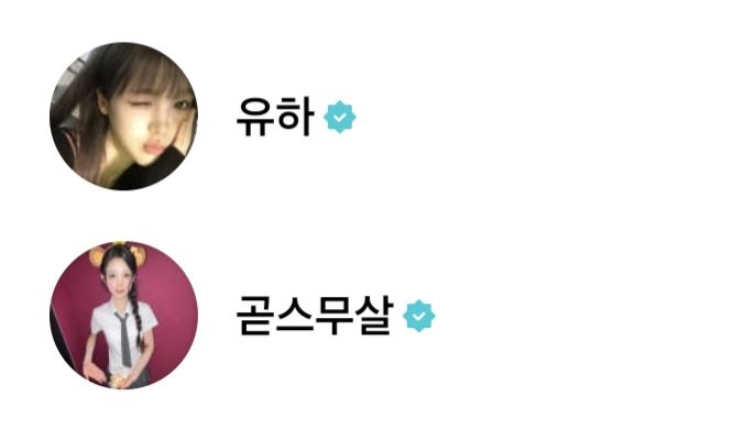 로 tweet media