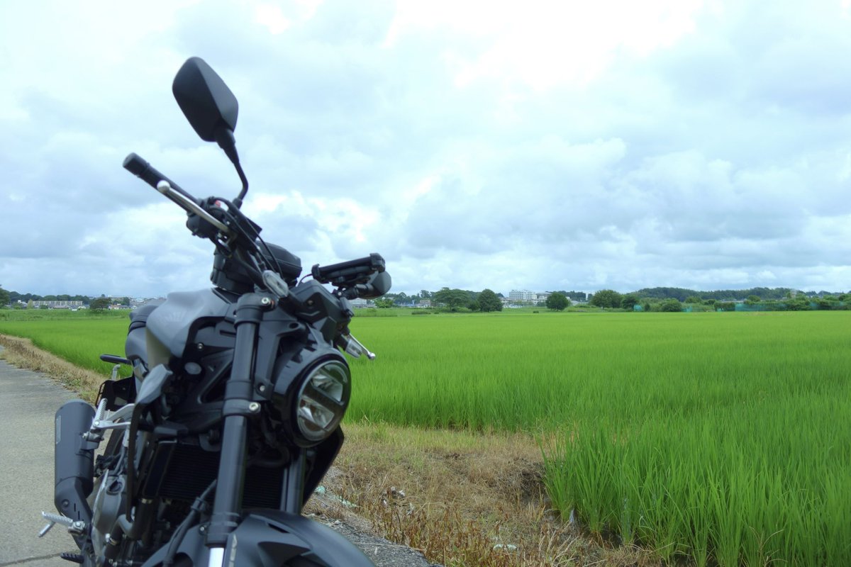 YuheiBikeAndDog's tweet photo. 道の駅で、唐揚げだべてきた。朝から苦しい。 https://t.co/bpdbd2pGZa