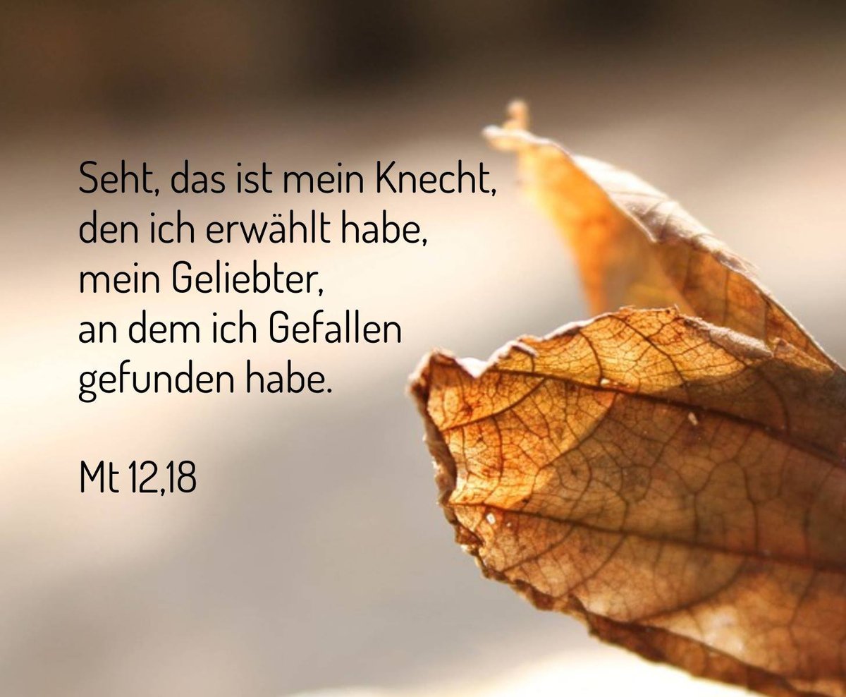 BistumBamberg's tweet photo. #GutenMorgen #TaEv #TagesEvangelium https://t.co/6Xog0yb202