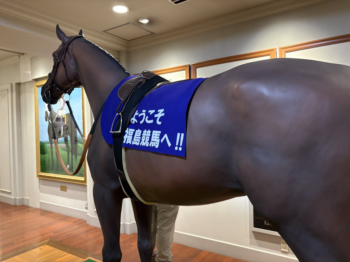 dekoi512's tweet photo. 福島競馬場🐴 https://t.co/CpgorVDYaT
