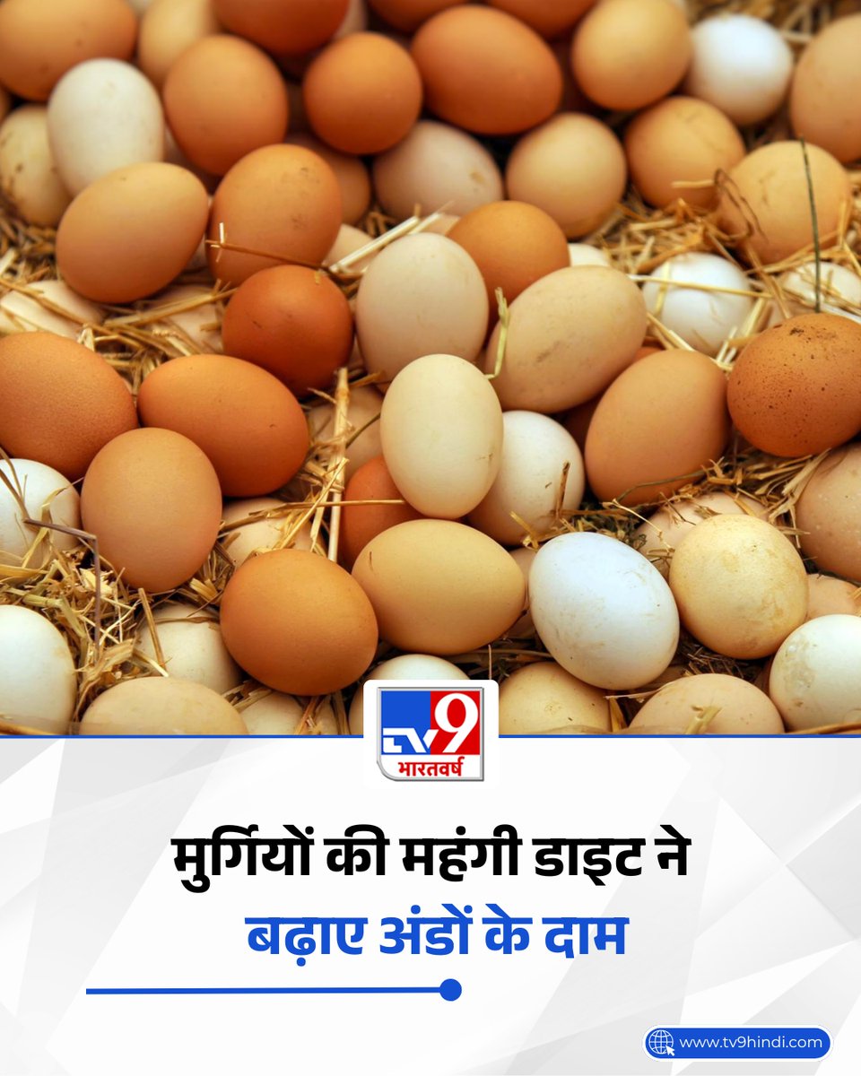 TV9Bharatvarsh's tweet photo. अगर आप रोजाना अंडे खाते हैं तो आपके लिए यह खबर जरूरी है. देशभर में अंडों की कीमतें लगातार बढ़ रही हैं और कई जगहों पर अब एक अंडा 8.5 से 9 रुपये तक बिक रहा है. पोल्ट्री उद्योग का कहना है कि इसकी सबसे बड़ी वजह पोल्ट्री फीड की बढ़ती कीमत है. हालांकि, उद्योग को उम्मीद है कि जुलाई के आखिर से कीमतों में कुछ राहत मिल सकती है.

#Eggprice | #SoybeanPrice | #tv9card