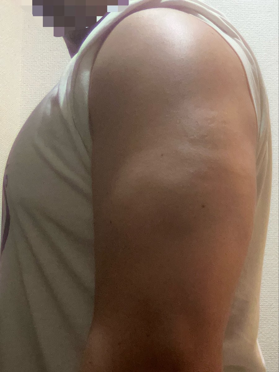mobuseibihei's tweet photo. なんかこう
前から見てモリィッて感じにしたいんだけど
なぜか腕が奥に奥に太くなっていくんだよな……
育て方間違えたのかしら……
肩を育てるべきなのかしらん https://t.co/Otc1nVR547