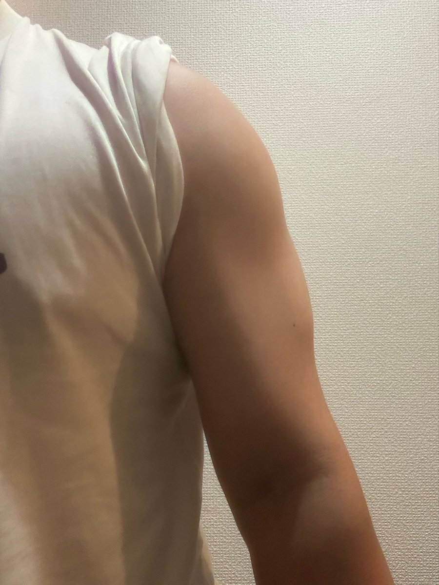 mobuseibihei's tweet photo. なんかこう
前から見てモリィッて感じにしたいんだけど
なぜか腕が奥に奥に太くなっていくんだよな……
育て方間違えたのかしら……
肩を育てるべきなのかしらん https://t.co/Otc1nVR547