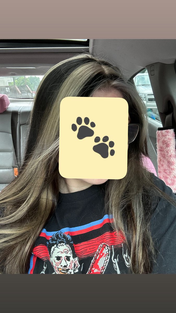 Lavendeere's tweet photo. Dying your hair to match your kitty >>>> (also cause I wanted to look like a skunk) https://t.co/e7AJZ7GN3M