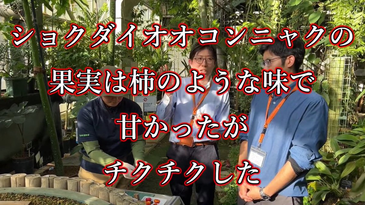 Samidarer's tweet photo. 柿のような味がしますね

ゴムゴムゴムゴムパドパドドダダドダダパパドドププブブウウドブブググテチポめめブブブブブブブブブブブブブブブブブブブブブブブブブブブブブブりりブりりりりりりりり
(北欧色のコーヒー)
は柿のような味で甘かったが
チクチクした https://t.co/1I3rxhnQup