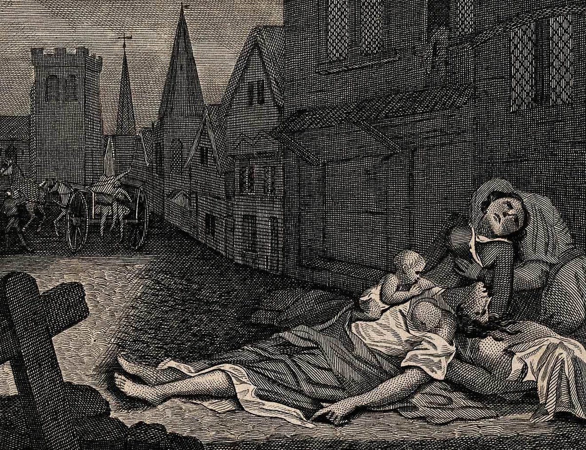 archeohistories's tweet photo. The Black Death of the 14th Century AD, was one of the deadliest pandemics in human history, killing up to half of Europe’s population. Genetic studies show that certain immune‑system variants, especially in the ERAP2 gene, gave some people a survival advantage. 

ERAP2 helps the body present pieces of invading pathogens to immune cells, and during the plague, individuals with a specific ERAP2 variant mounted stronger defenses against Yersinia pestis, the bacterium responsible for the Black Death. Those who carried this variant were more likely to survive and pass it on to future generations.

But evolution is a trade‑off. The same ERAP2 variant that once protected people from a medieval pandemic appears to make the immune system too reactive in modern environments. 

Today, researchers have linked this variant to a higher risk of autoimmune disorders, including Crohn’s disease, where the immune system mistakenly attacks the body’s own tissues. In a world without constant plague exposure, the hyper‑vigilant immune response that once saved lives can become harmful.

This discovery highlights how historical events can shape the genetic landscape of modern populations. The Black Death exerted enormous evolutionary pressure, rapidly increasing the frequency of protective genes like ERAP2. 

Centuries later, those same genes persist but in a world with different diseases, diets, and environments, their effects have changed. It’s a striking example of how ancient survival mechanisms can echo into the present, influencing human health long after the original threat has disappeared.

One overlooked detail is how fast the ERAP2 gene shifted in European populations after the Black Death. Geneticists found that the protective variant increased in frequency within just a few generations, an unusually rapid evolutionary change. That speed suggests the plague acted as one of the strongest selective pressures in human history, reshaping immune genes so dramatically that its effects are still visible in modern DNA, long after the original threat disappeared.

#archaeohistories