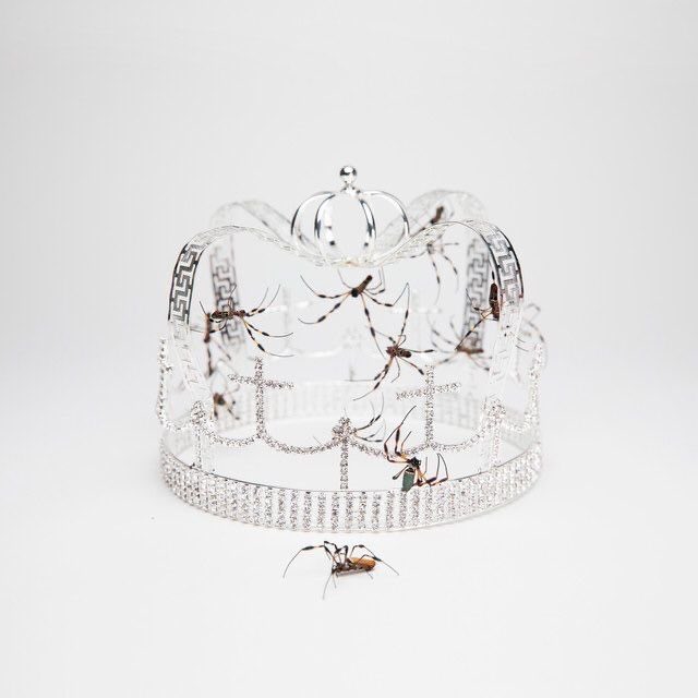 PopCrave's tweet photo. 8 years ago today, Billie Eilish released “you should see me in a crown.” https://t.co/5qCigHHOOa