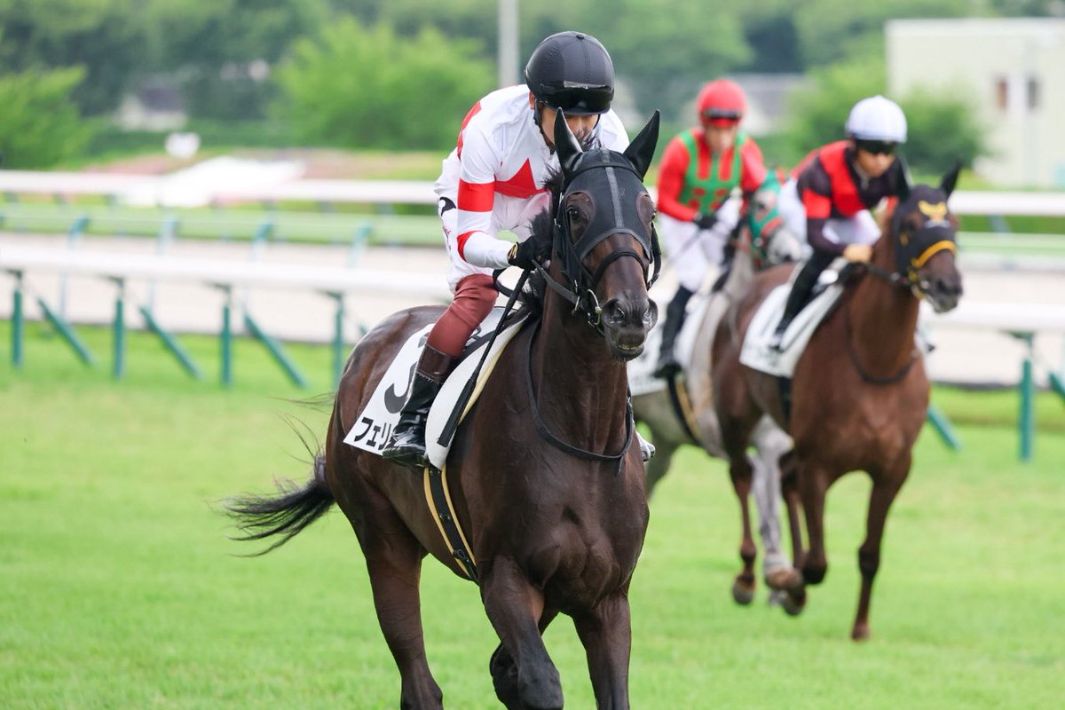 Mdz0m's tweet photo. 26.0718 福島5R 2歳新馬

フェリシタル × 三浦皇成騎手

Bloomingっ子 デビュー3頭目
デビューおめでとう！
ツアーの時はお転婆でしたが、今日はいい子でした😌 https://t.co/gxCuYUXozZ