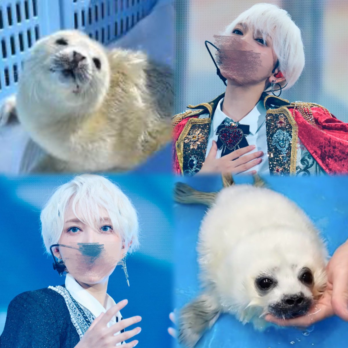 ineedriinu's tweet photo. 似すぎて愛おしいWWWWWWWWW https://t.co/adLT5Kab67