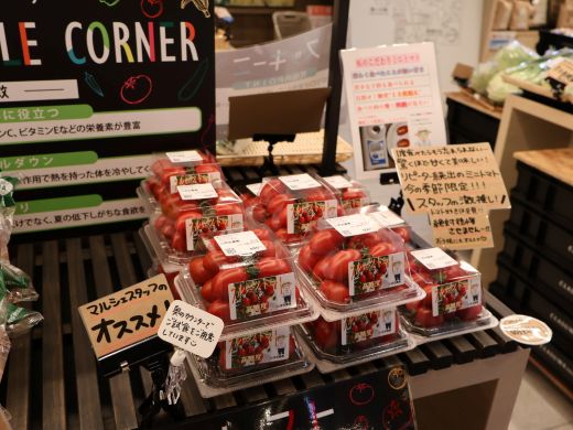 yamazuminouen's tweet photo. 2026年7月18日

「くらすわの森」ショップ（壱の蔵）にミニトマトを出荷しています🍅

とても甘いトマトです🍅🍅
ぜひ、お手にとってみてくださいね☺️

#くらすわの森 #養命酒駒ヶ根工場 https://t.co/ZUemPunmv2