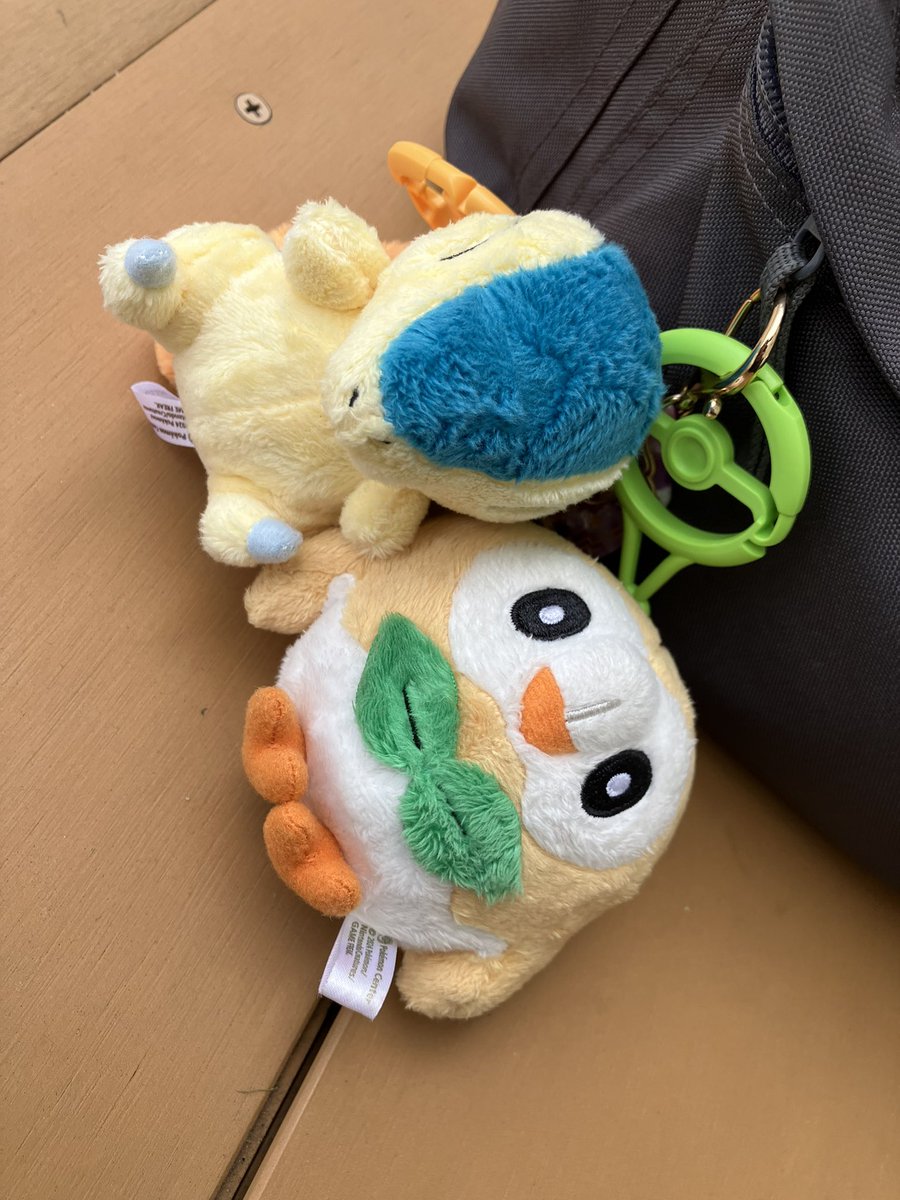 z2b_Ta's tweet photo. わーるどすたんだーど❗️ https://t.co/AdZ1yMFNKe