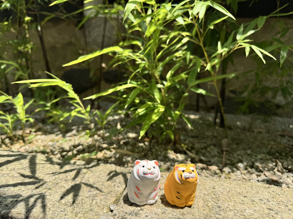 g_g719's tweet photo. あとおみくじも可愛すぎる https://t.co/5CPWTTaVB0