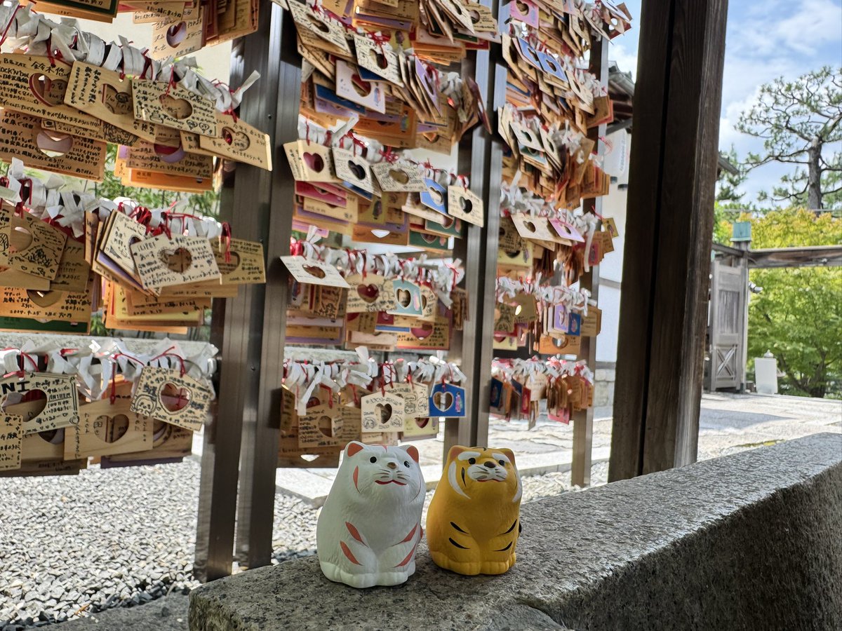 g_g719's tweet photo. あとおみくじも可愛すぎる https://t.co/5CPWTTaVB0