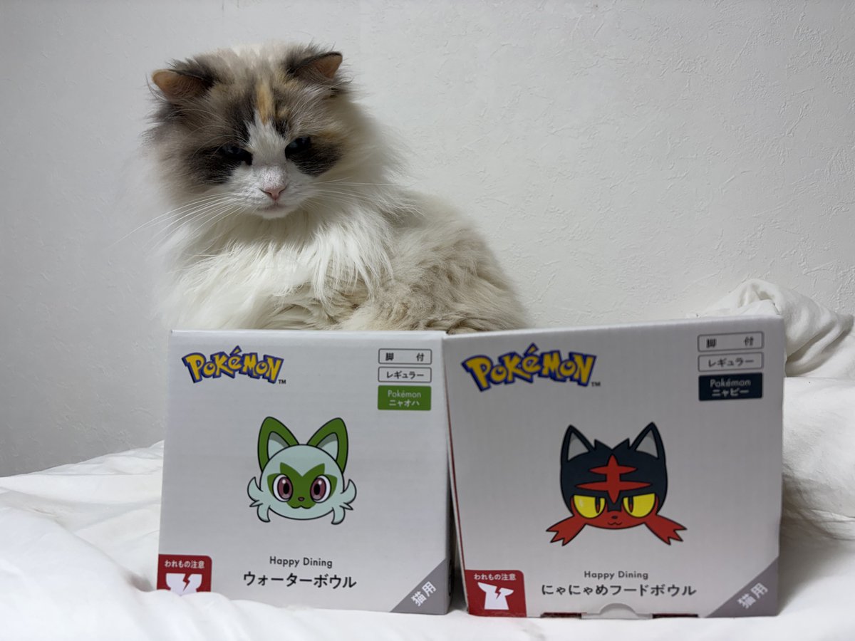 akubi__neko's tweet photo. 猫壱さんのポケモンコラボ来たよ〜🫶🏻 https://t.co/qI3k3RBGj8