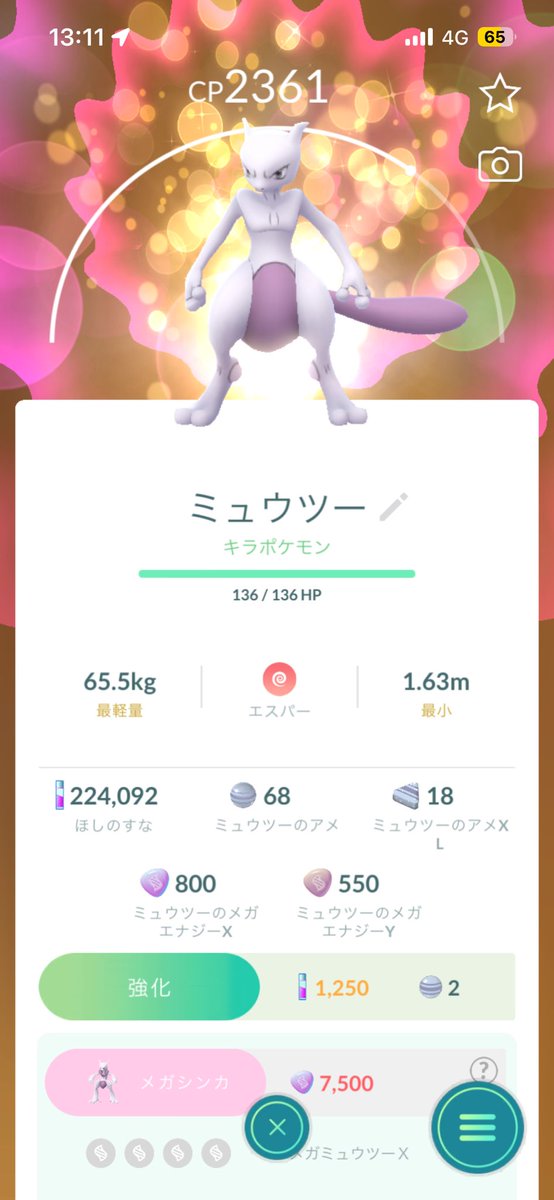 1pp8_'s tweet photo. 始めたばかりでよく分からなくてキラキラになるって言うのにつられてミュウツー交換したらメガシンカなくなった🫩🫩🫩🫩🫩🫩🫩🫩🫩🫩🫩
 #ポケモンGO #罠 #ポケモンGOさいてい https://t.co/gDIq5k5EQo