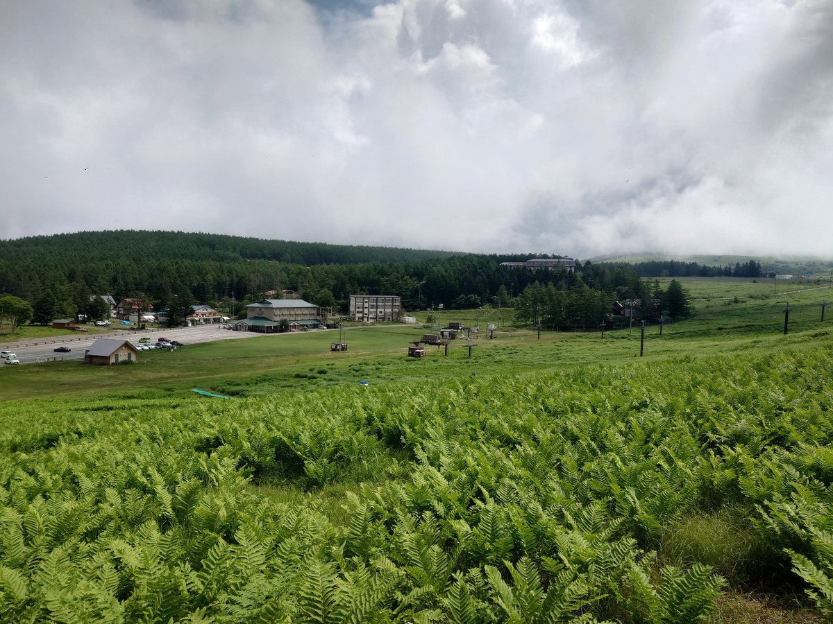 kwsk2stroke's tweet photo. ガスっでるビーナスラインでした https://t.co/UZdxHGlNnl