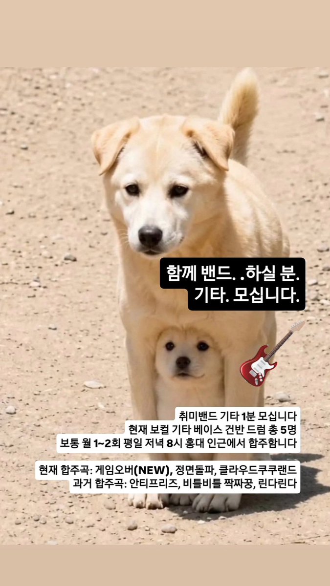 wantalivendive's tweet photo. 여기에도 올려봄니다..
취미여성밴드 기타 1분 구합니다
전원 사회초년생으로 이루어진 사초생밴드.. 함께하실분 https://t.co/oJuyvkzi8m