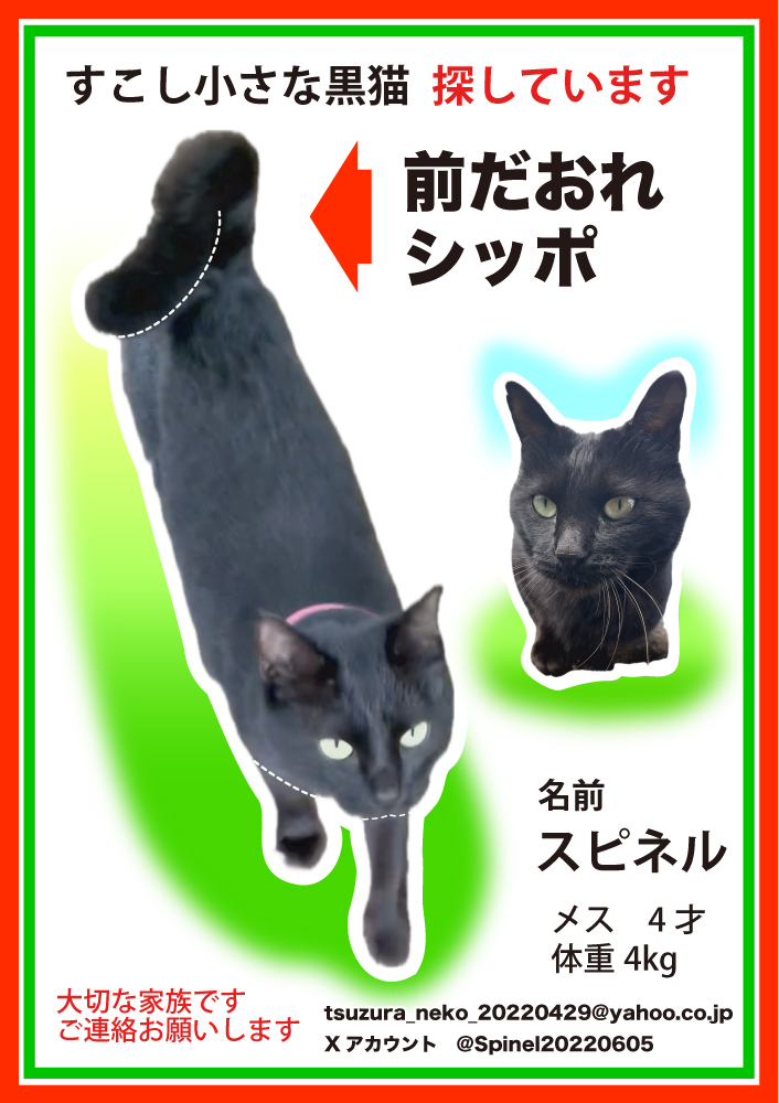 Spinel20220605's tweet photo. #栃木県 さくら市 草川 #迷子猫 #拡散希望ＲＴお願い致します
46日経過。本日より、助言頂きながら自作したチラシを近隣住宅に配布し情報提供をお願いして回ります。
添付画像と同じチラシを見られた方、当アカウントへの情報提供でも構いませんのでご協力のほど、よろしくお願いいたします。 https://t.co/EKUMucBS0d