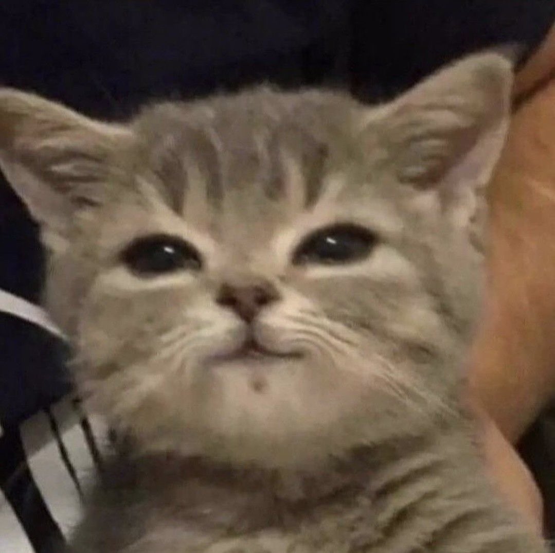 pgwkcat's tweet photo. https://t.co/2rjhCNXnLB