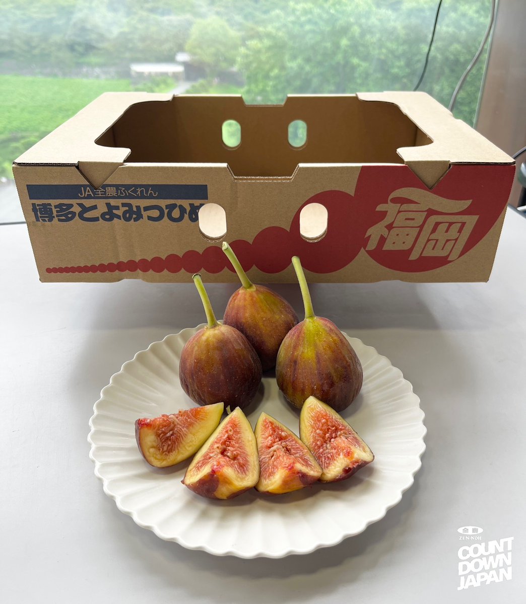 JA_CDJ's tweet photo. 本日の美味しい #プレゼント をご紹介🥳

今回は…

JA筑前あさくら いちじく
『博多とよみつひめ』👸🏻✨

こちらを３名様にプレゼント🎁

応募は今からでもまだ間に合います🤲🏻

①このアカウントをフォロー✅
②固定ポストをリポスト🔁

ご購入はこちら
▶️https://t.co/qWSWwB0DFz

#JA全農CDJ #全農 #TOKYOFM #JFN