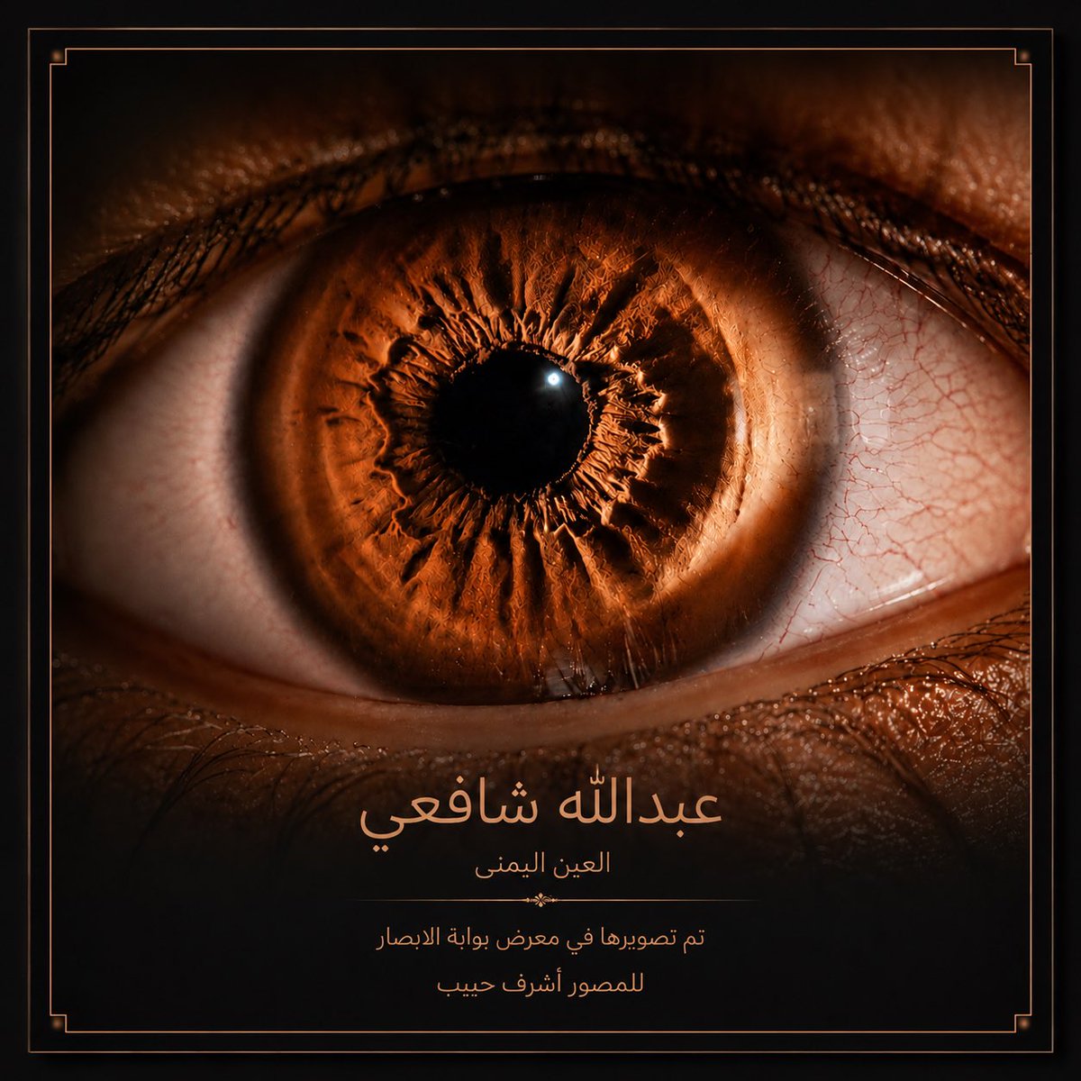 aaa33316sa's tweet photo. هذه هي العين اليمنى الخاصة بي، بعدسة المصور المبدع أشرف حبيب، والتي تم توثيقها خلال معرض بوابة الإبصار.
تجربة استثنائية كشفت لي أن لكل عين هوية فريدة، تحمل تفاصيل لا تشبه سواها.

فخور بهذه الذكرى التي ستبقى شاهدة على لحظة مميزة.

 #تصوير_القزحية  #أشرف_حبيب #تصوير #فن_التصوير https://t.co/qRCCcfbdiB