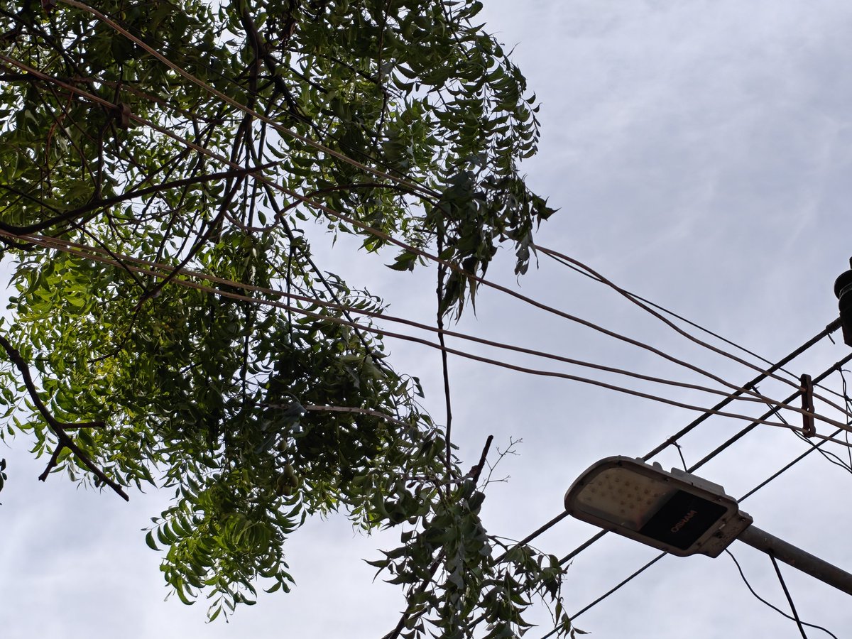 vgeorgez's tweet photo. @TANGEDCO_Offcl TANGEDCO_Offcl  Yesterday during replacement of pole by your team our line reconnection was done with tree branch splitting the main wire from pole to house. Please have it rectified before the wire breaks. Location - 2nd Cross Street JJ Nagar Kuniyamuthur Coimbatore 641008. https://t.co/fQpPakSChA