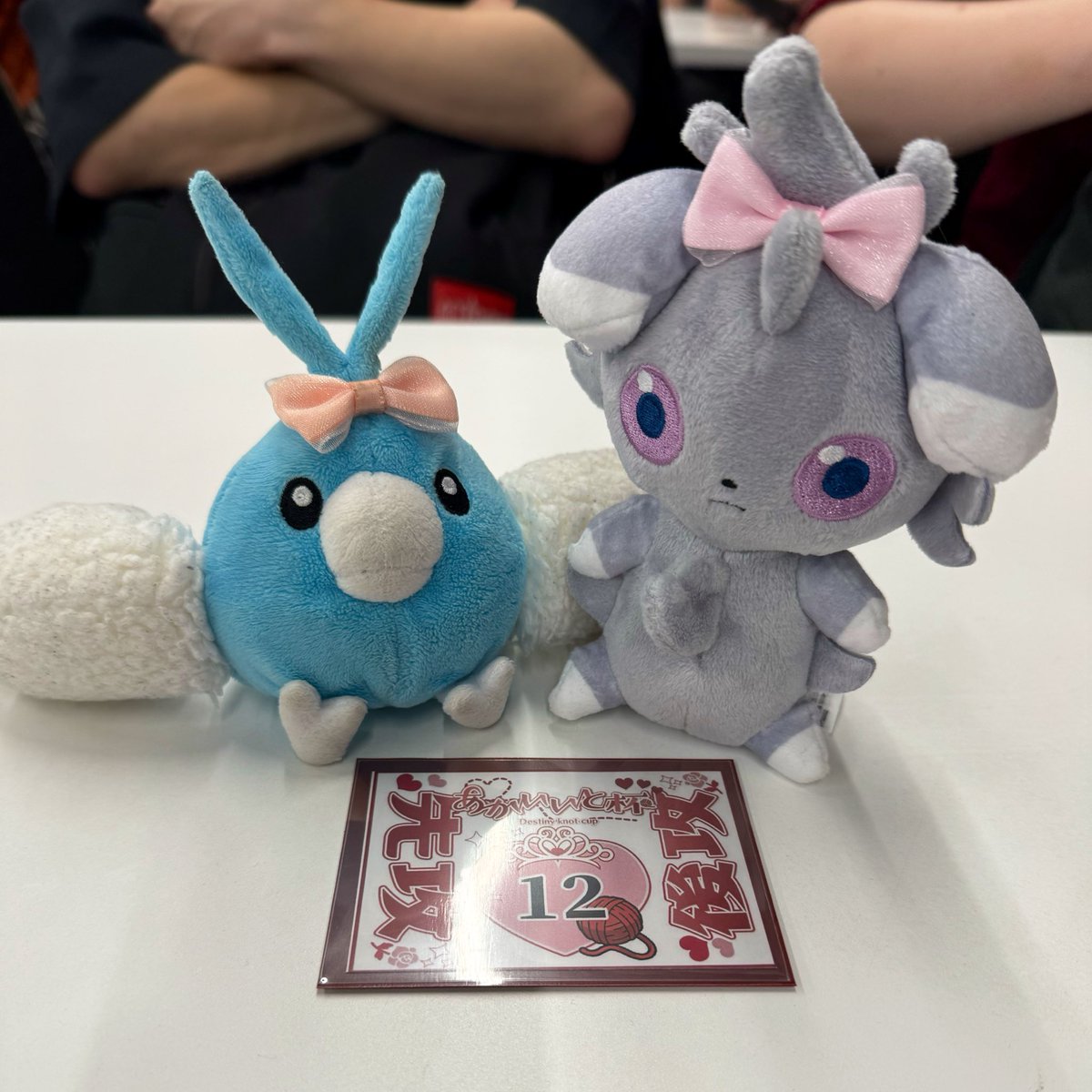 shansuke_pokeca's tweet photo. あかいいと杯🧶
予選今のところ4-0💪
トナメ確定かな？
残りも仲良く頑張ってきますー https://t.co/f7tU35KYvV