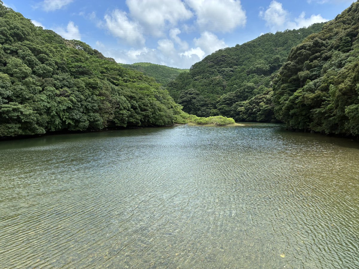 lif_rkoga's tweet photo. 海、山、川、、、すごいところだ。 https://t.co/tXICD8zIBh