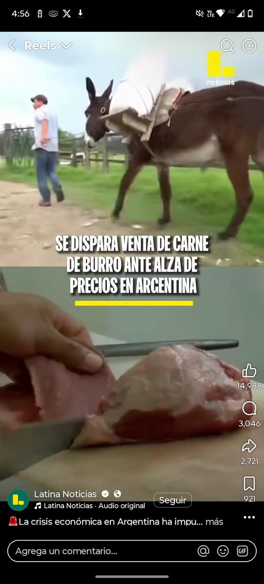 losbroreact's tweet photo. @Mardina1965 @JosueAP98 @GullitPicks Pues el lugar vendiendo carne de burro es otro jajaja https://t.co/60cheImGfj