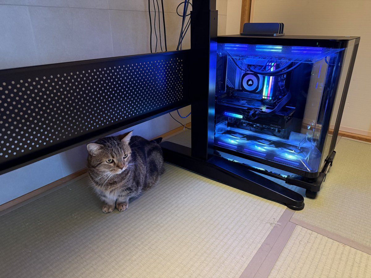 猫とCorsair Air 5400 LX-R RGB iCUE LINK トリプルチャンバー ミドル