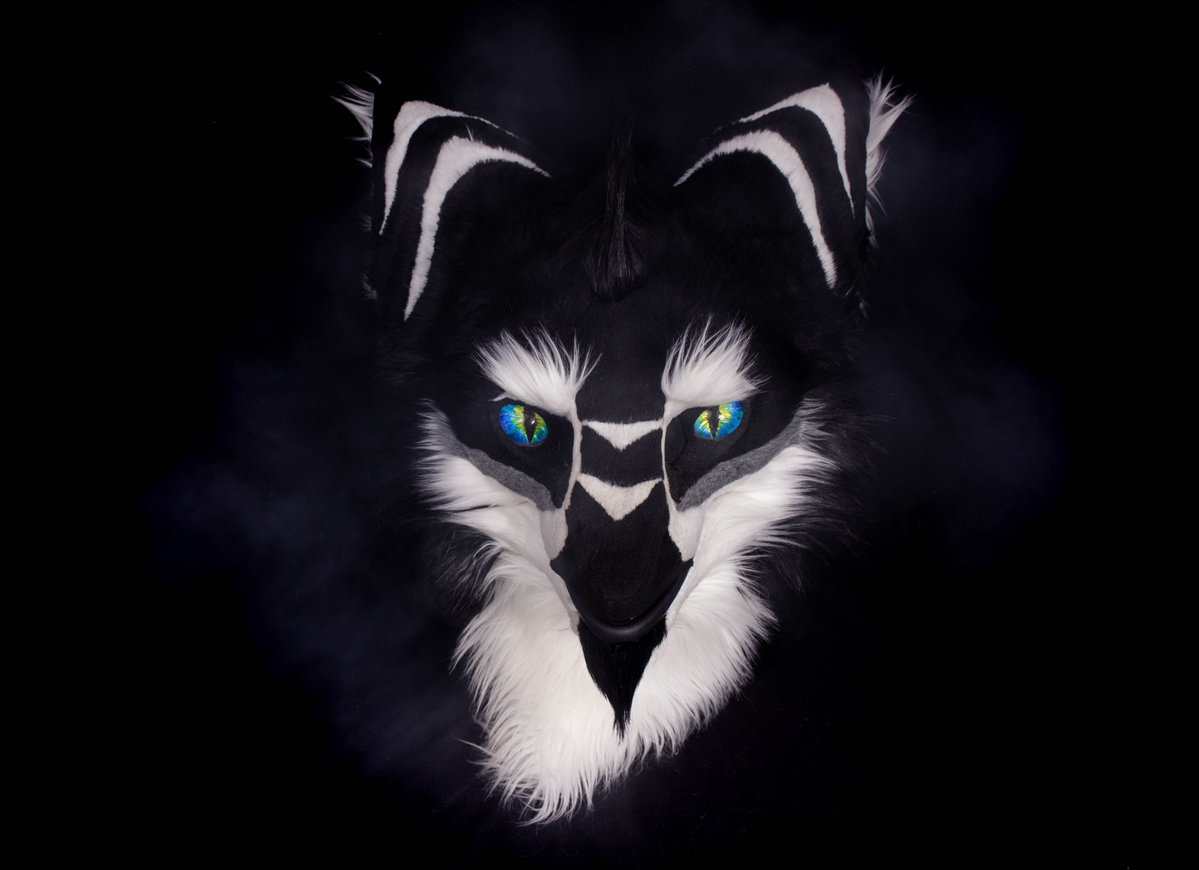 SharpyTheSergal's tweet photo. It looked stupid at first head propped up with a paper towel roll and my bedsheet nailed to the kitchen wall but Im surprised by how it turned out I had the setup in my closet for years got bored and messed around in Lightroom. Not gonna lie it came out way better than I expected https://t.co/XcrLcUgeS4