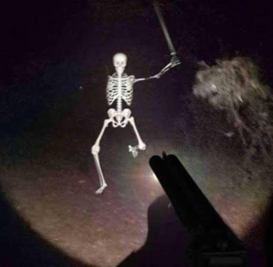 Momazos Shotgunner tweet media