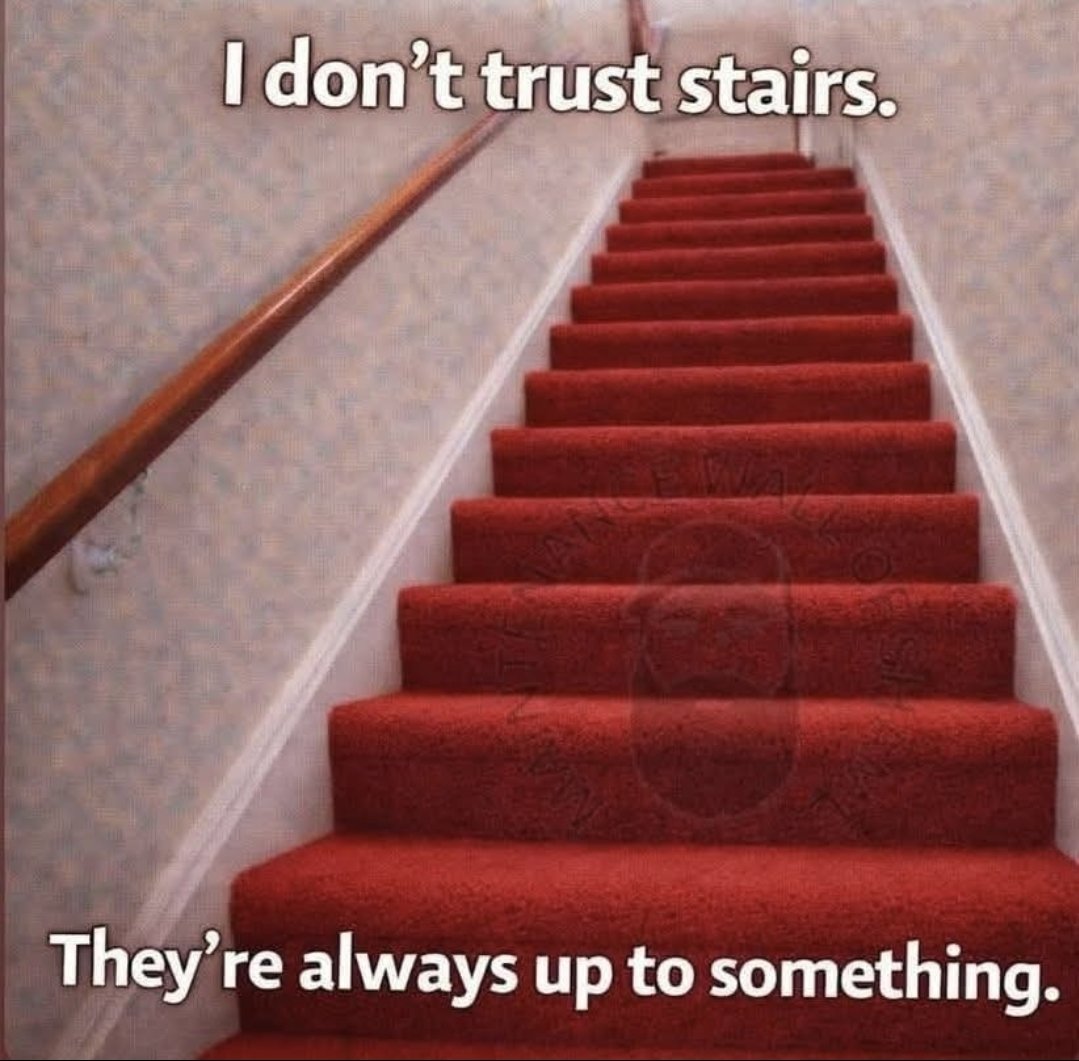 Bec2Yeg's tweet photo. Did I post this already or did I fall down these damb things and forget??? 🤭😂🤣 https://t.co/4YiWs3lWSL