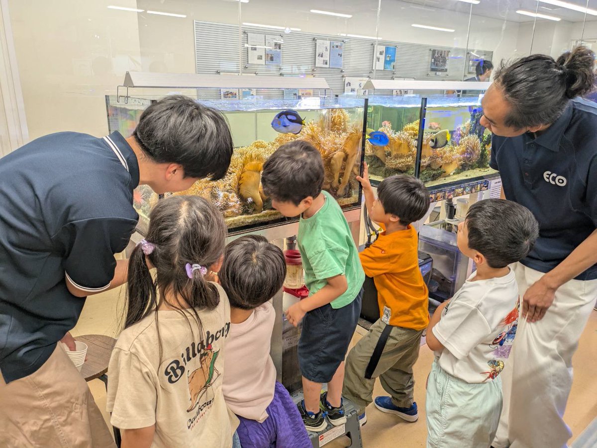 NCA_ECO's tweet photo. ／
#名古屋ECOでの学び
＼

名古屋ECOにある、
動物たちがいる実習室を中心に、
子どもたちに楽しんでもらうブースです😊

学校の特徴を活かしながら、
この日に向けて学生たちが取り組みました✨ https://t.co/ZHErgWhTAl