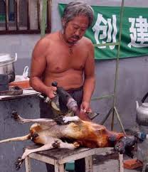 2xdxGMVgjk0QV3F's tweet photo. @ChnEmbassy_jp Dogs are important family members.
Please cooperate with the prohibition of dog meat.
#Dogsareimportantfamilymembers
#DogEto #Korea #China #DogEter
#ChinaandKoreanStyle #中国犬肉猫肉 #喫犬和喫猫在中国 https://t.co/7KKa0AHNqC