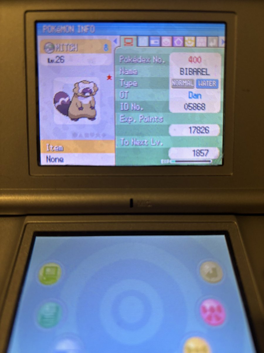 DwardDwardDward's tweet photo. First shiny of safari week is a shiny bibarel in the great marsh in platinum. Caught after three balls, and named after big country Mitchell Robinson #SafariWeek2026 https://t.co/76GhzlP5j1